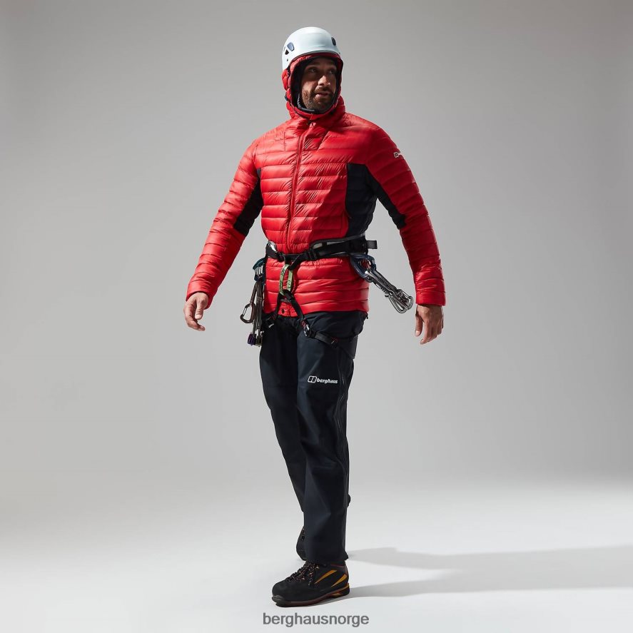 mtn seeker mw dun hettegenser Berghaus menn gojibær/kulsort F262D673 klær